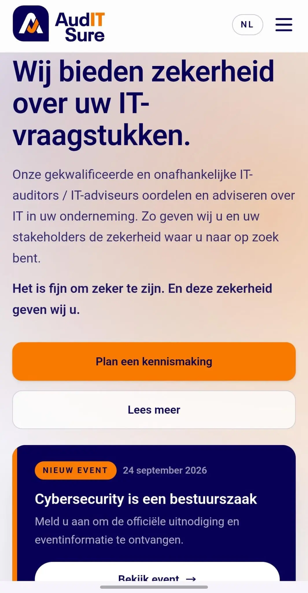 Mobile view of the AudIT-Sure website